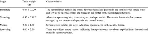 We did not find results for: Stages of gonadal development in Octopus hubbsorum males ...