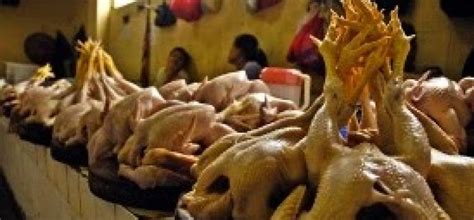 Mp3 duration 21:14 size 48.60 mb / niko_ channel 1. Jual Produk Makanan dari Bangkai Ayam, 2 Pria Blitar Ditangkap Polisi - LIPUTAN JATIM