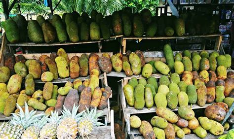 Buah cempedak memiliki bentuk yang mirip dengan nangka dan beraroma mirip durian. Cempedak Goreng Rangup Mudah dan Sedap - Oh! Semput