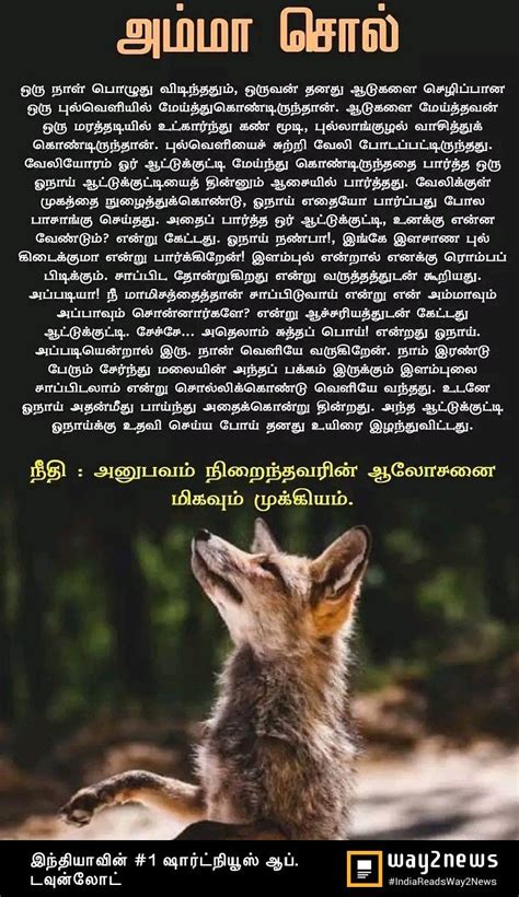 Comedy stories comedy quotes moral stories funny stories short stories story quotes life quotes motivational stories in tamil small stories for kids. Idea by Lavanya on Tamil quotes | Short stories, Story, Stories