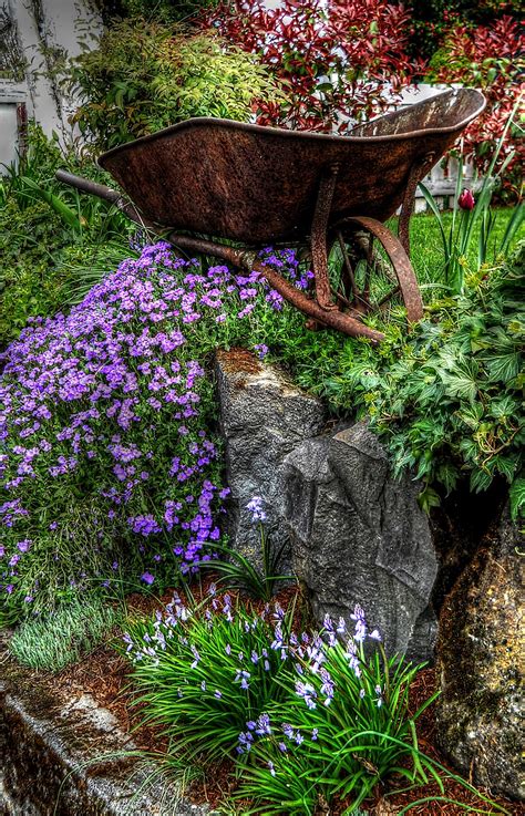 Maybe you would like to learn more about one of these? Thom Zehrfeld Photography : Spring Flowers in Oregon City