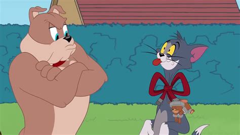 Stream anime tom and jerry episode 47 online cartoon episodes episode title: Tom and Jerry Show A Better Cat 2018 720p - YouTube