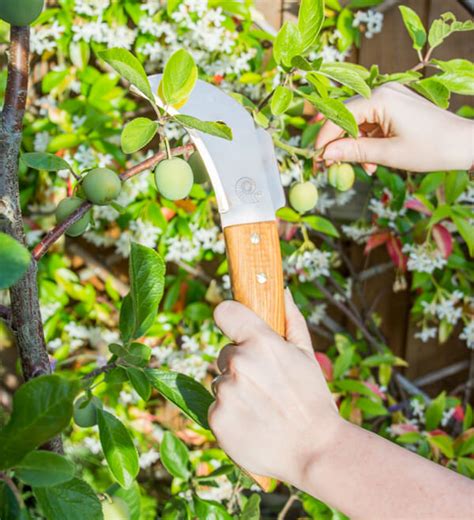 We did not find results for: The History of Copper Tools - Primrose Blog