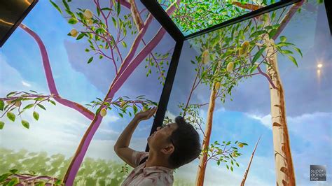 While it's native to indonesia, it's possible to grow a nutmeg tree in other areas if the climate is warm enough. Light Projection Show At The Highest Point on Orchard Road ...