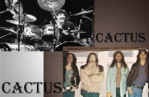 Find album reviews, stream songs, credits and award information for barely contained: MUSIC HALL HB: DISCOGRAFIA DE GRUPO "CACTUS"