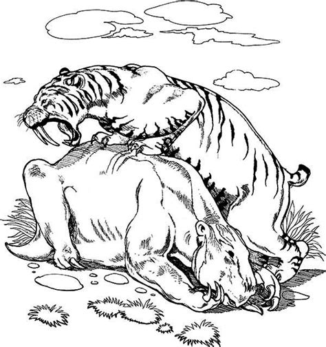 Our printable sheets for coloring in are ideal to brighten your family's day. Saber Tooth Tiger Coloring Pages - Coloring Home