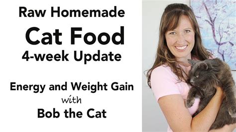 Cats with kidney disease tend to lose a lot of water in the litter box and are prone to dehydration. Homemade Cat Food Update (kidney disease diet - low ...