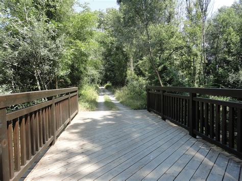 Jun 30, 2021 · die lobau zählt zu mitteleuropas letzten großen, ökologisch weitgehend intakten flussauen. Wien - Lobau