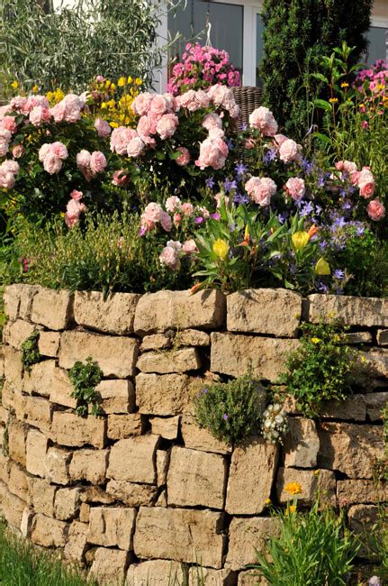 Auch mit kalksteinen lassen sich natursteinmauern bauen. Natursteinmauer/Gartenmauer selber bauen & Steine verfugen ...