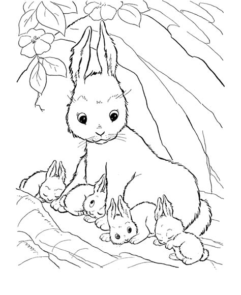 21 best cute animal coloring pages printable. Cute Coloring Pages Of Animals - Coloring Home