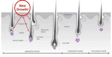 How long should your hair be to get waxed. After Your Brazilian Wax - ProSkin (Brazilian Waxing Salon)