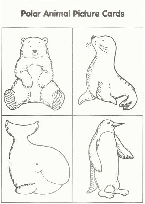 If you want to pass along the printable though, please feel free to share a link to this post with others. Free Printable Arctic Animals Coloring Pages - Coloring Home