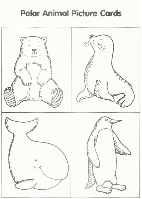 A coloring page set and a colored animal set include an arctic fox, a caribou or reindeer, a hare, a harp seal, and polar bears. Free Printable Arctic Animals Coloring Pages - Coloring Home
