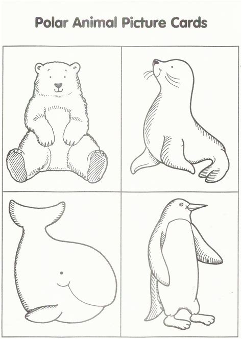 Animals coloring pages is an extension of animals preschool activities and crafts theme. Free Printable Arctic Animals Coloring Pages - Coloring Home