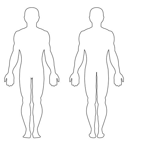 Find the indicated structures in the diagrams provided, based on the directional terms given. Outline Of Person Coloring Page - Coloring Home