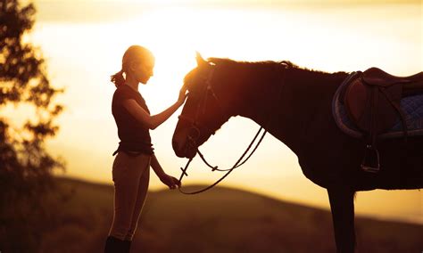 Horse Health Archives - HC Equestrian