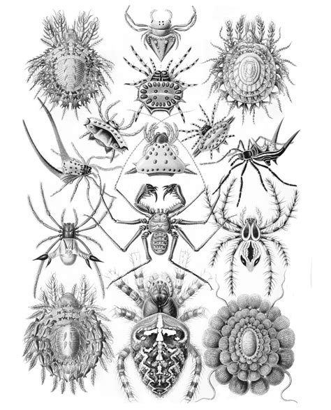 Some of the coloring page names are coloring insects for kids adults, art coloring girls names custom large size of, stink bug coloring coloring, simple butterfly coloring insects coloriage, silly butterfly coloring, caterpillar coloring for kids, ladybug outline clip art at vector clip art, adult butterfly. Free Coloring Pages from Archives Around the World - Art ...