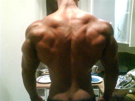 Let's just call this the accelerated beginner's guide to bodybuilding. Aleda Costa: Bodybuilder Back Images ...