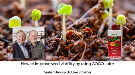 It's also the first step to getting great bud. Neutrog TV | How do I germinate old seeds? - YouTube