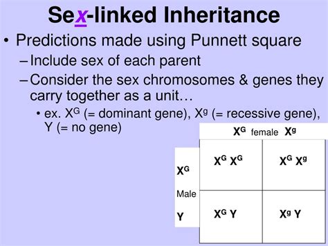 To use a punnett square, you should know the genes involved with the. What Is A Punnett Square And Why Is It Useful In Genetics ...