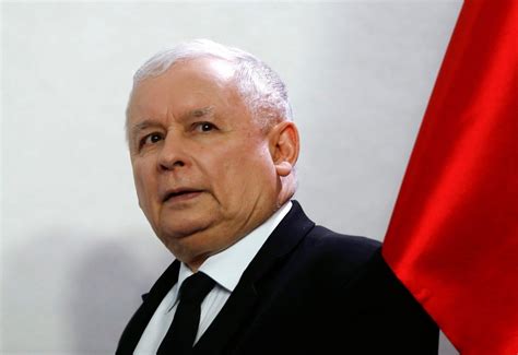 Jarosław aleksander kaczyński (polish pronunciation: Jarosław Kaczyński Cute - Alik Ukochany Kot Prezesa Pis ...