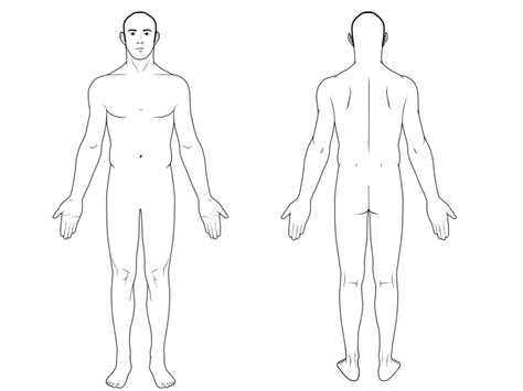 The human body and a skeleton with a silhouette of a body. BODY DIAGRAM - Unmasa Dalha