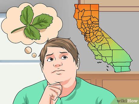 Poison oak) in kontakt kommt, kann das einen juckenden. Gifteiche erkennen: 13 Schritte (mit Bildern) - wikiHow