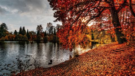 You can also upload and share your favorite top wallpapers. 1080p Images: Hd Wallpapers 1080p Widescreen Free Download Zip