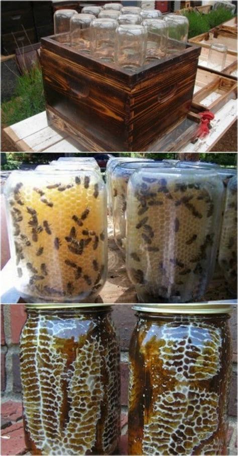 Complete bee hive kit heath 8 frame with tools starter beginner/backyard on ebay, which includes. Easy DIY Beehive In A Jar! Such a clever way to have your ...