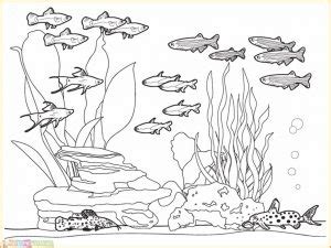 Wallpaper pemandangan dibawah laut gambar mewarnai binatang laut via blogteraktual.com. √13 Mewarnai Pemandangan Bawah Laut Untuk Anak 2020 ...