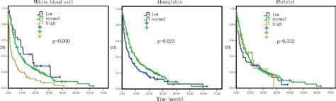 This could be a myriad of health problems like kidney or liver failure and different kinds of cancers. Prognostic factors in patients with pancreatic cancer