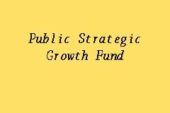 I have selected these funds based on the recent data. Public Strategic Growth Fund, Growth Fund in Kuala Lumpur