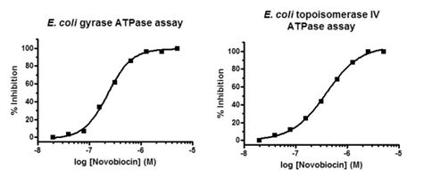 Any of several enzymes that catalyze the hydrolysis of atp to adp and phosphate. DNA topoisomerase ATPase assay kits