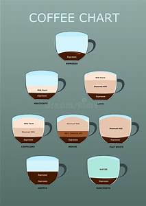 Coffee Guide Set Drinks Coffee Chart And Coffee Infographic Stock