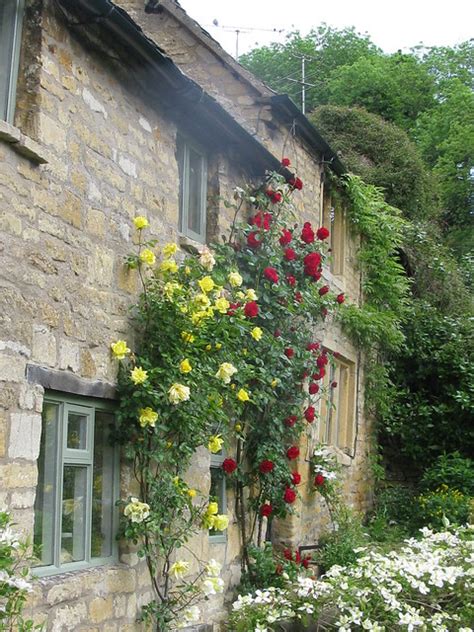 Fungible assets are the odd ones out! Cottaging | Flickr - Photo Sharing!