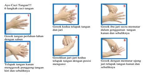 Wanita dengan ilustrasi bunga, ilustrasi kecantikan kosmetik, bahan wanita yang dilukis dengan tangan, cat air lukisan, aksesori rambut. 6 Langkah Cuci Tangan Doc Document