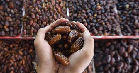 Malaysia technical university network (mtun). 11 Jenis Buah Kurma Paling Sedap & Popular Dijual di Malaysia