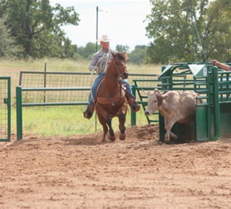 15 cactus team roping saddle. Better Balance on Your Heel Horse with Clay O'Brien Cooper ...