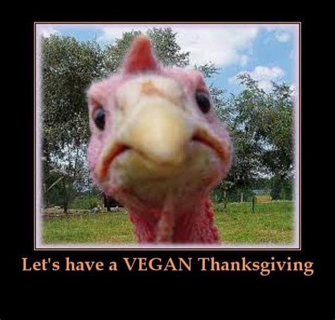 Browse 277 funny thanksgiving turkey stock photos and images available, or start a new search to explore more stock photos and images. 37 Funny Thanksgiving Pictures That Are So Funny You Can't ...