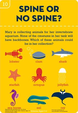 Download 339 backbone diagram stock illustrations, vectors & clipart for free or amazingly low rates! Pin on Homeschool Ideas and Faves