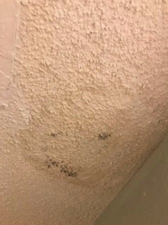 Good luck, removing a popcorn ceiling is well worth the effort, or money if you pay someone else to i just removed a popcorn ceiling in my dining room. Hilton Sandestin Beach, Golf Resort & Spa - Picture of ...