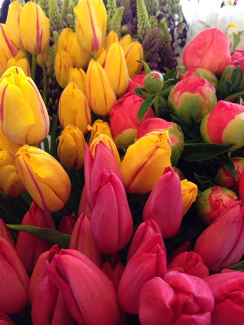 These seasonal, local flowers come from all over washington and most of the farmers have been selling in the market for over 20 years. Tulips and peonies, Pike's Place Market, B. Sensbach ...