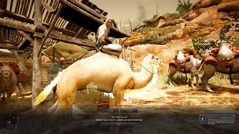 Altar of gaming is not affiliated with, or sponsored by pearl abyss. TIPS 15 : FREE CAMEL FROM BOCHLO - BLACK DESERT ONLINE SEA ...