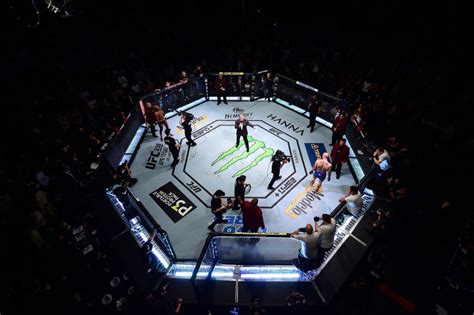 In addition, you get access to watch tv channels, that are known for broadcasting combat sports events. UFC 254 Live On Reddit | MMA Free Streams Twitch ESPN+ ...
