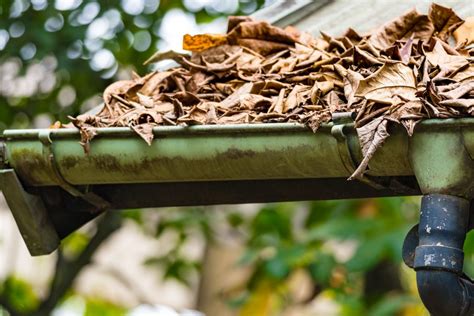 The great thing about cleaning gutters is that there is not one set in stone and specific way to do it. How Often Should You Clean Your Gutters? - Blue River Gutters
