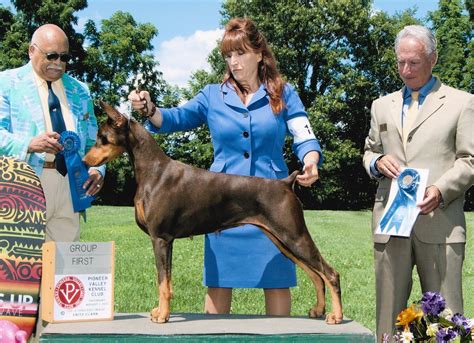 The goals and purposes of this breed standard include: mistel doberman breeders:ten generations of healthy ...