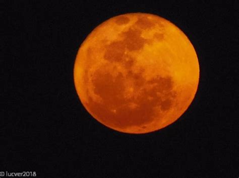 Deste modo, a lua nova é 0%, a cheia é 100%, e tanto o crescente como o minguante são 50%. Lua Cheia Hoje vista do Rio de janeiro 25/09/2018 ...