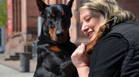 Wohnungen in kehl suchst du am besten auf wunschimmo.de ✓. Kehl Kehl Kehl: Frau sucht Wohnung - Dobermann unerwünscht ...