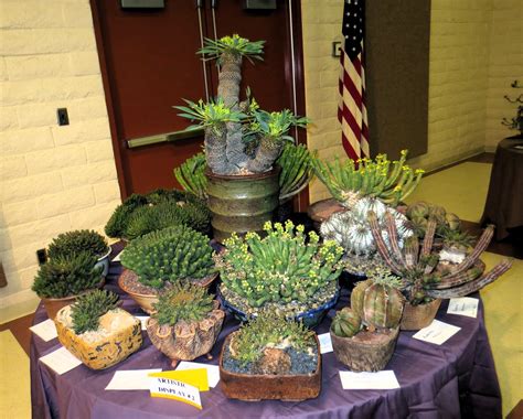 As long as it's about succulents you may post it here! Late to the Garden Party: Cactus & Succulent Show & Sale