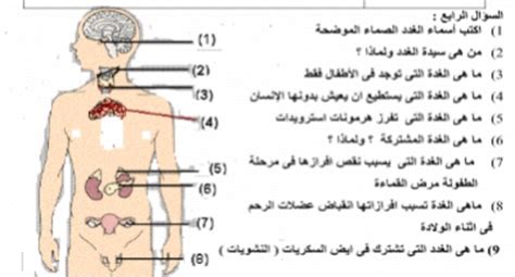 Check spelling or type a new query. شرح التنسيق الهرموني في الكائنات الحية.. أحياء الصف الثالث ...